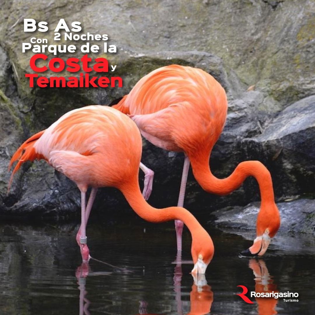 buenos-aires-100-diversion-2-noches-temporada-2026-262